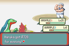 screenshots/Game Boy Advance/Pokemon - Emerald - Ruby - Sapphire/Pokemon Emerald (Eng) 016.png